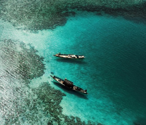 Andaman and Nicobar Island